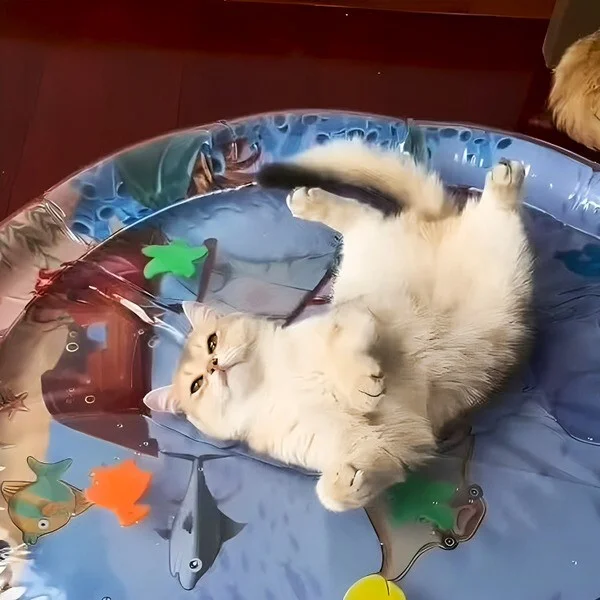 Коврик для домашних любимцев Водный C00978 - фото 3 Коврик для домашних любимцев Водный C00978 - фото 3