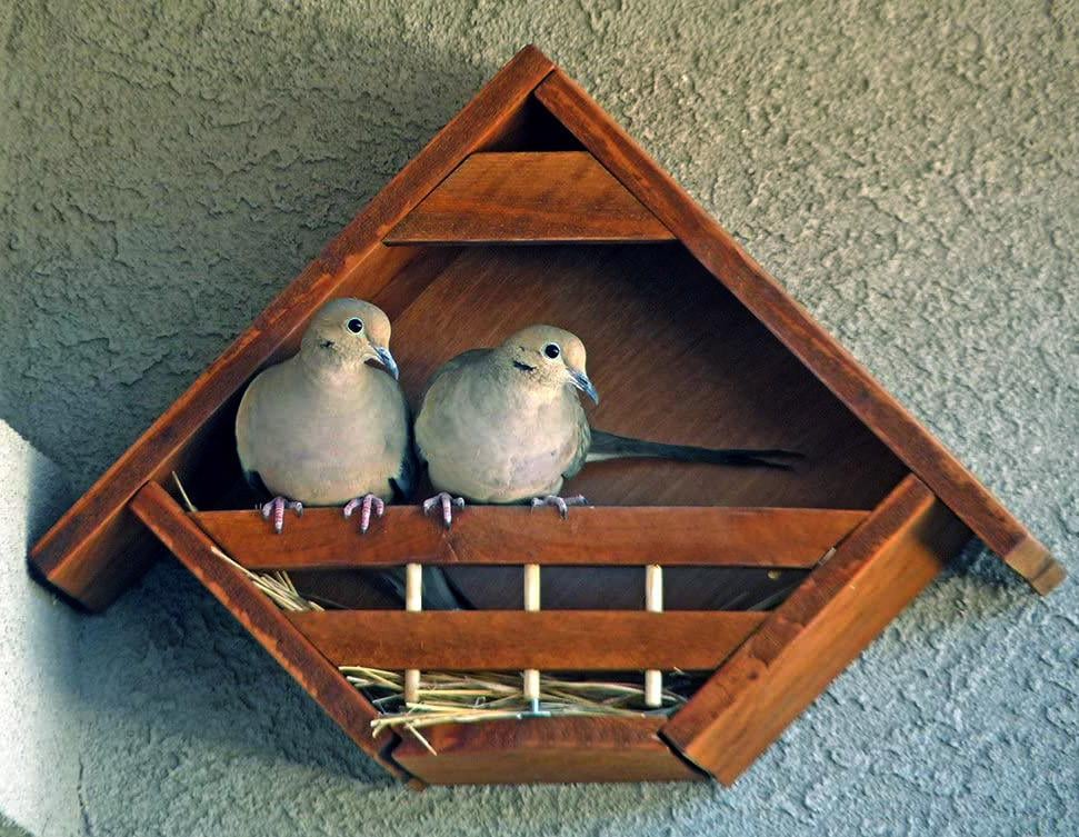 Гніздування для птахів з дерева Чирок Охра (ГНЗ-000904) - фото 3