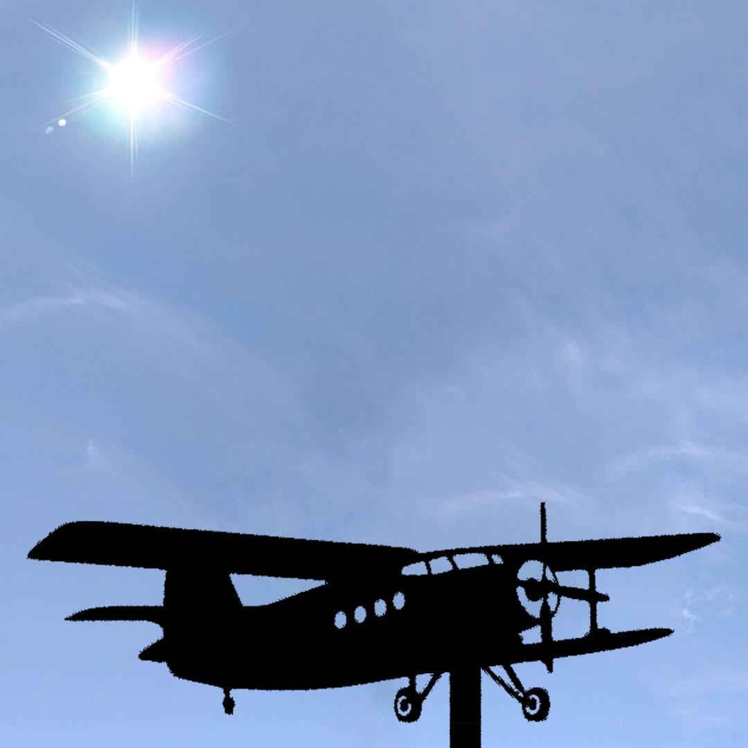 Флюгер на дом Самолет Кукурузник АН-2 (27641551)