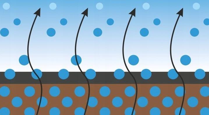 Агротканина від бур'янів GardenLine 1х20 м 50 г/м² для полуниці Чорний - фото 6 Агротканина від бур'янів GardenLine 1х20 м 50 г/м² для полуниці Чорний - фото 6
