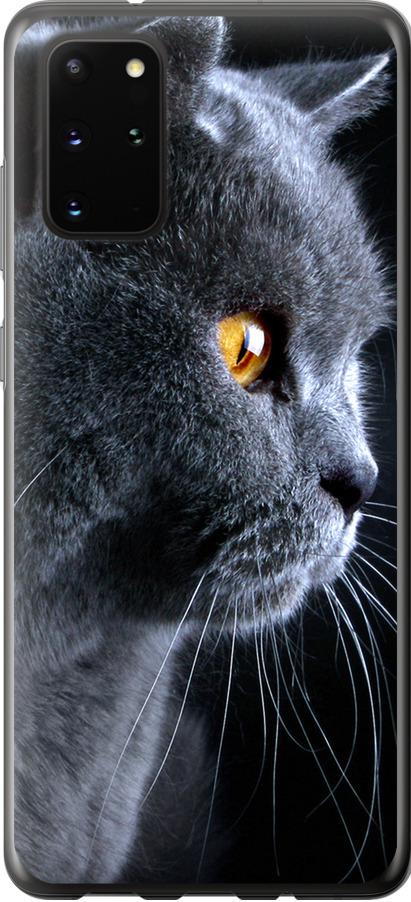 Чехол на Samsung Galaxy S20 Plus Красивый кот (3038t-1822-42517)