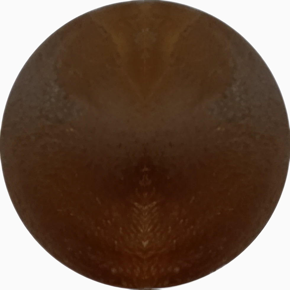 Герметик для дерева ProfiProtect (30757179)