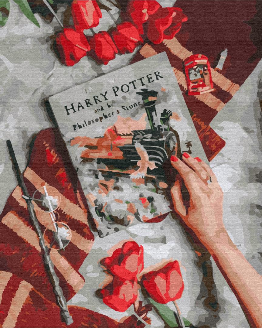 Картина по номерам Brushme Знакомство с магическим миром Гарри 40x50 см (BS36541)