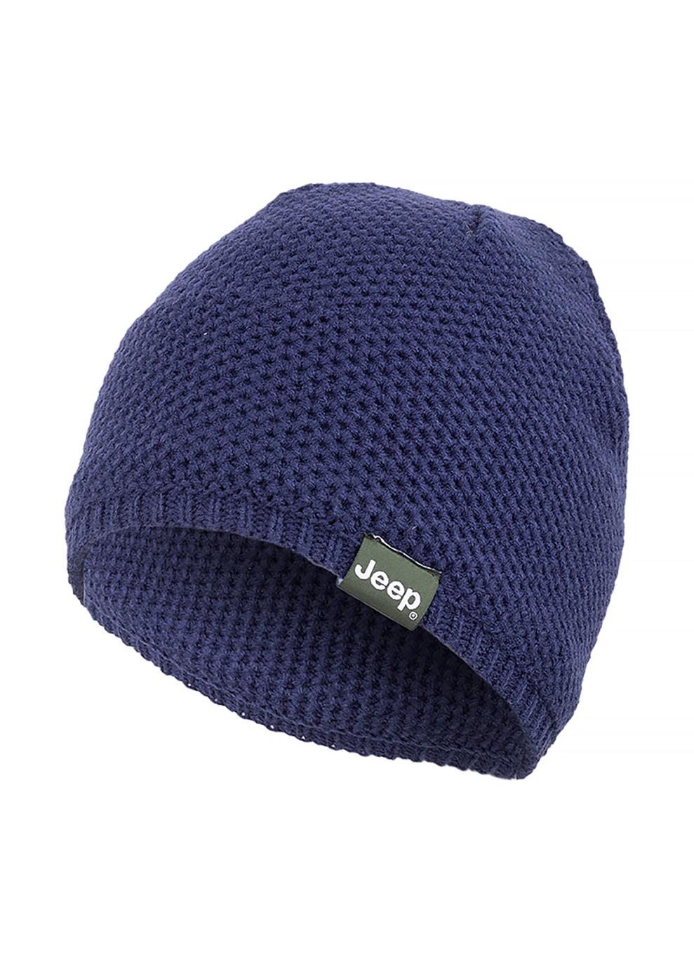 Шапка мужская JEEP TRICOT HAT J22W Синий (O102599-A184)