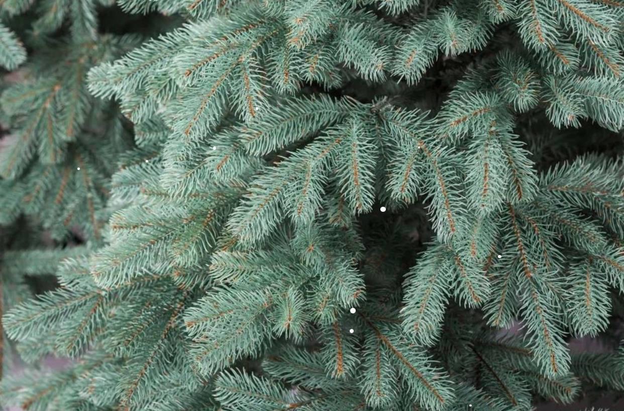 Штучна ялинка Бельгійська лита з металевою підставкою 1,50 м Блакитний (NYT15122) - фото 3