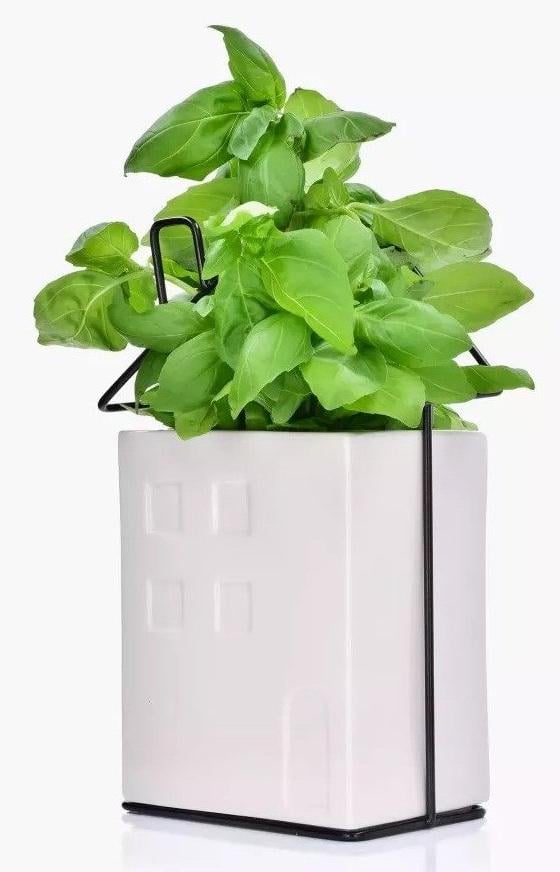 Растение искусственное в горшке DUKA PLANTERA (1218338) Растение искусственное в горшке DUKA PLANTERA (1218338)