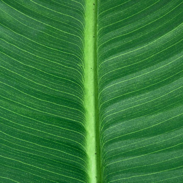 Искусственное растение Banana Tree 155 см (TW-09) - фото 2