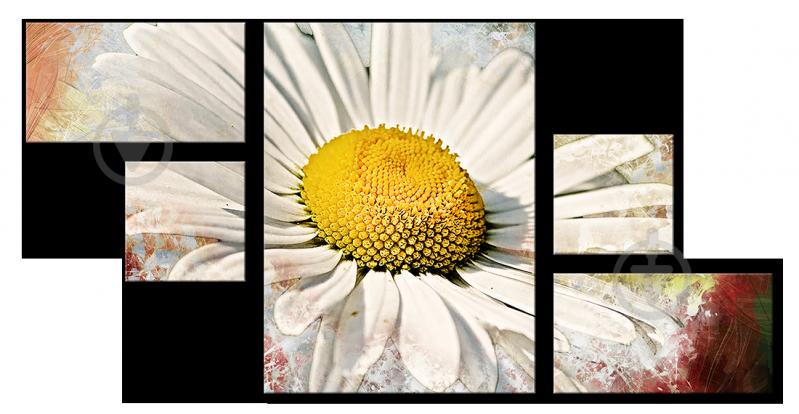 Модульная картина Декор Карпаты FL-006 138х71см Ромашка (hub_szkE90664)