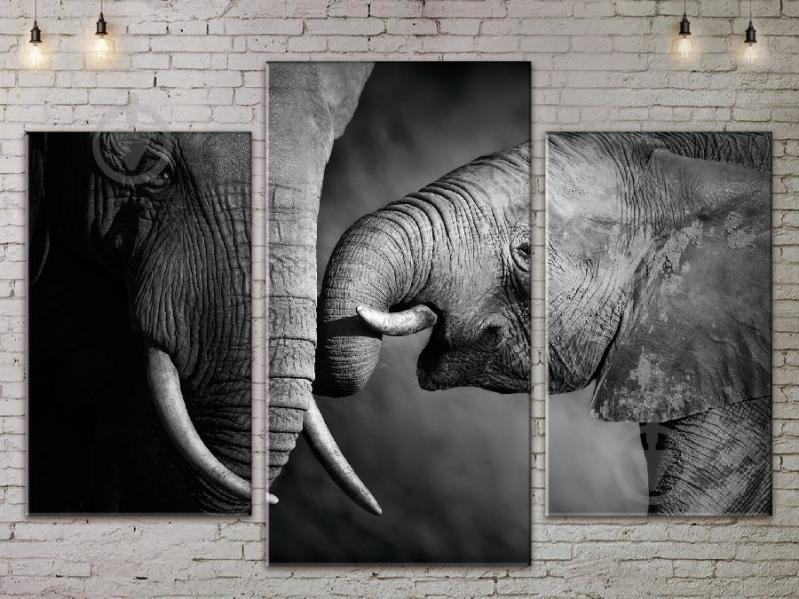 Модульная картина Слоны ADJ0048 размер 70 х 105 см