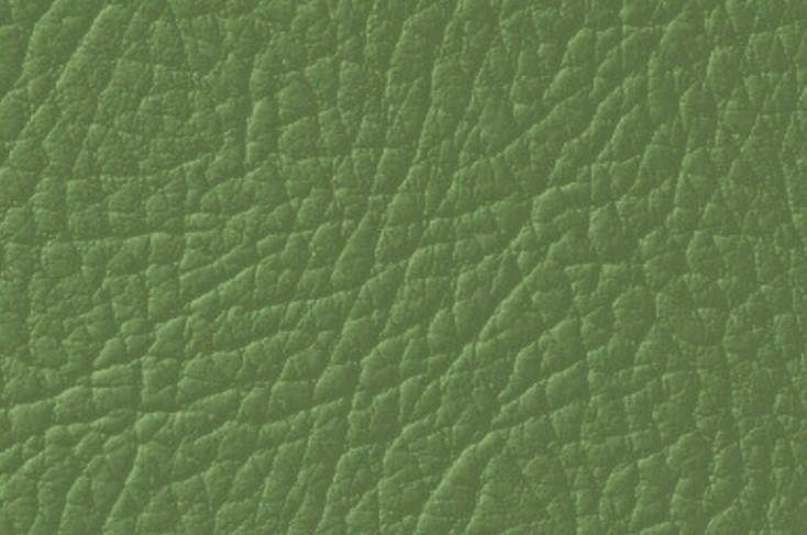Фарба для натуральної та штучної шкіри Leather Expert Colourant 50 г 601 Green