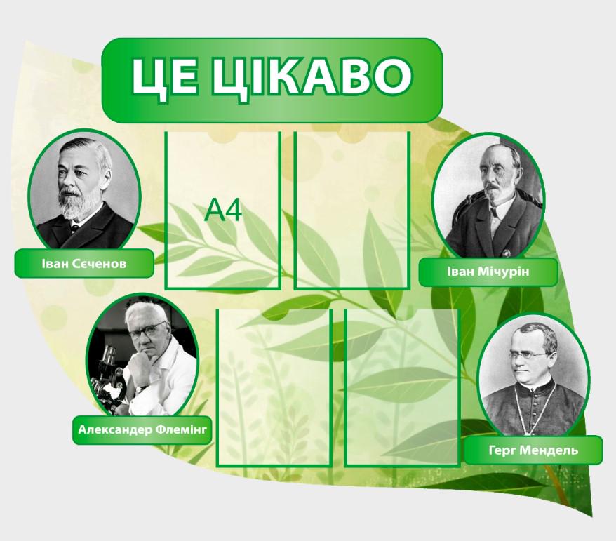 Стенд для учебных заведений "Це цікаво" 1130х915 мм (КВ0006)