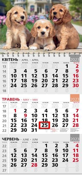 Календарь квартальный офисный 3 Щенки Спаниель