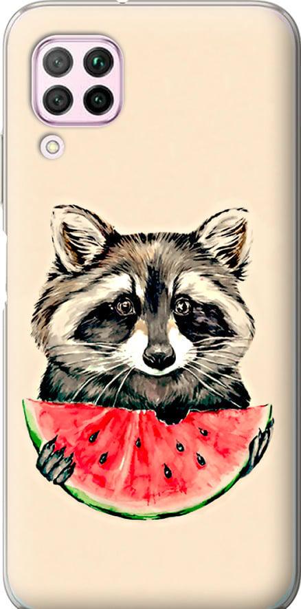 Чехол на Huawei Nova 6SE Енотик с арбузом (4605t-1823-42517)