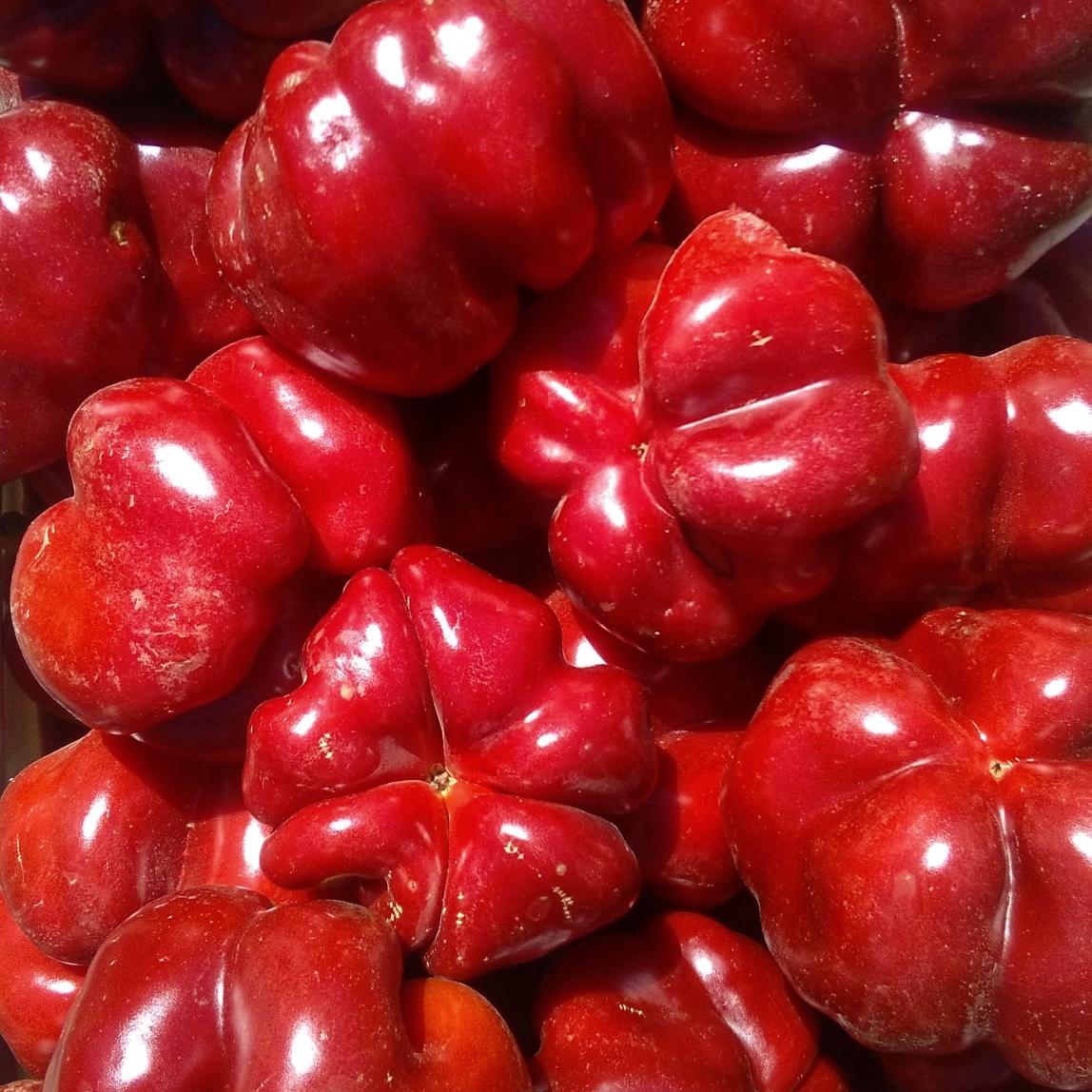 Перець солодкий Флумері F1 5 шт./5 пак. (38298433)