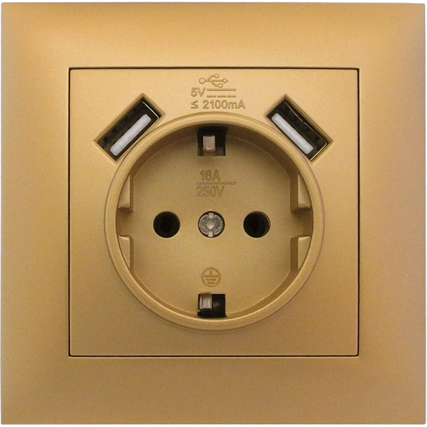 Розетка одноместная с заземлением и двумя USB портами MARSHEL IDEAL RS16-472 Gold Розетка одноместная с заземлением и двумя USB портами MARSHEL IDEAL RS16-472 Gold