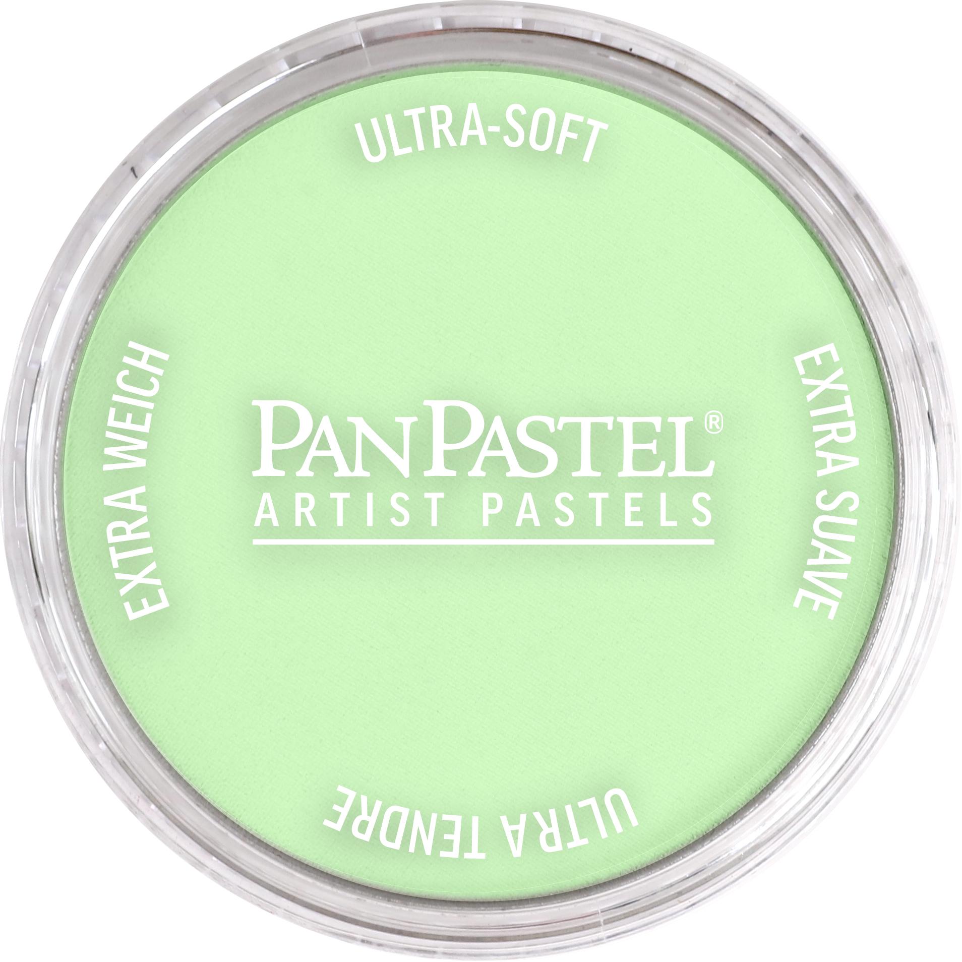 Пастель художня PanPastel 690.8 Yellow Green Tint 9 мл (28769543)