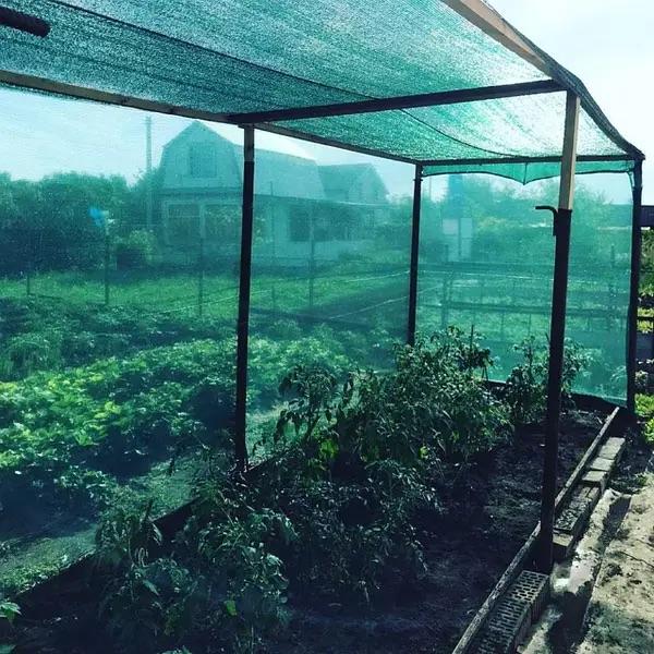 Сетка Добрая сеточка тень 45% 6х20 м (28263793) - фото 20