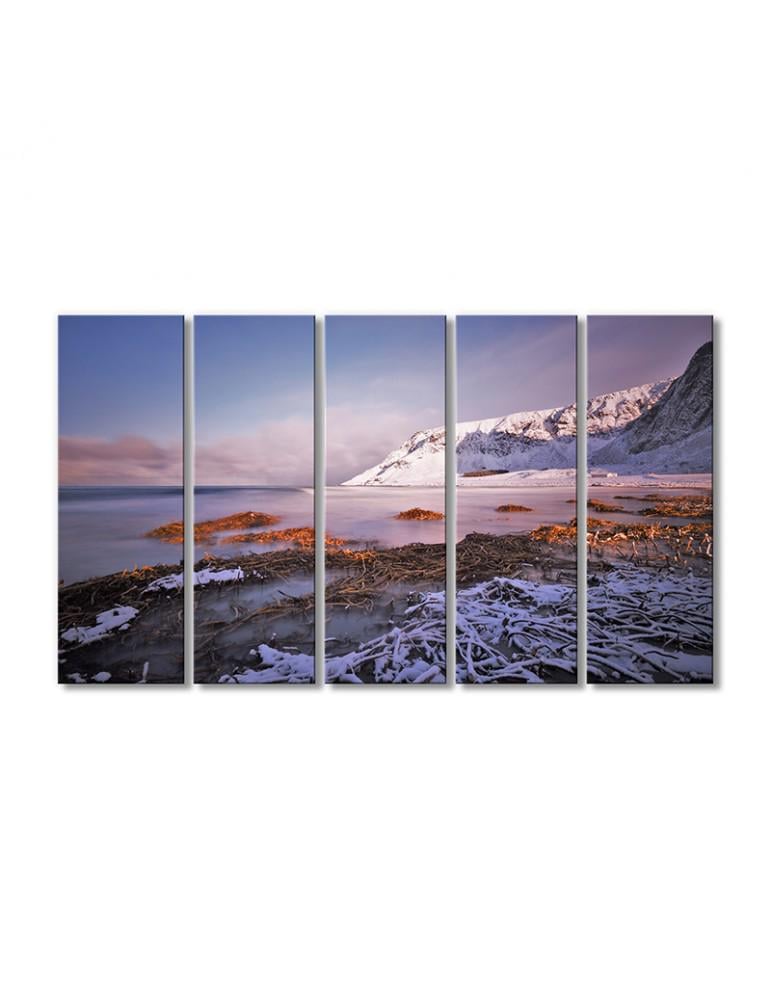 Картина модульная Полярная шапка 5 модулей 120x180 см (140120Pejzazh0010)