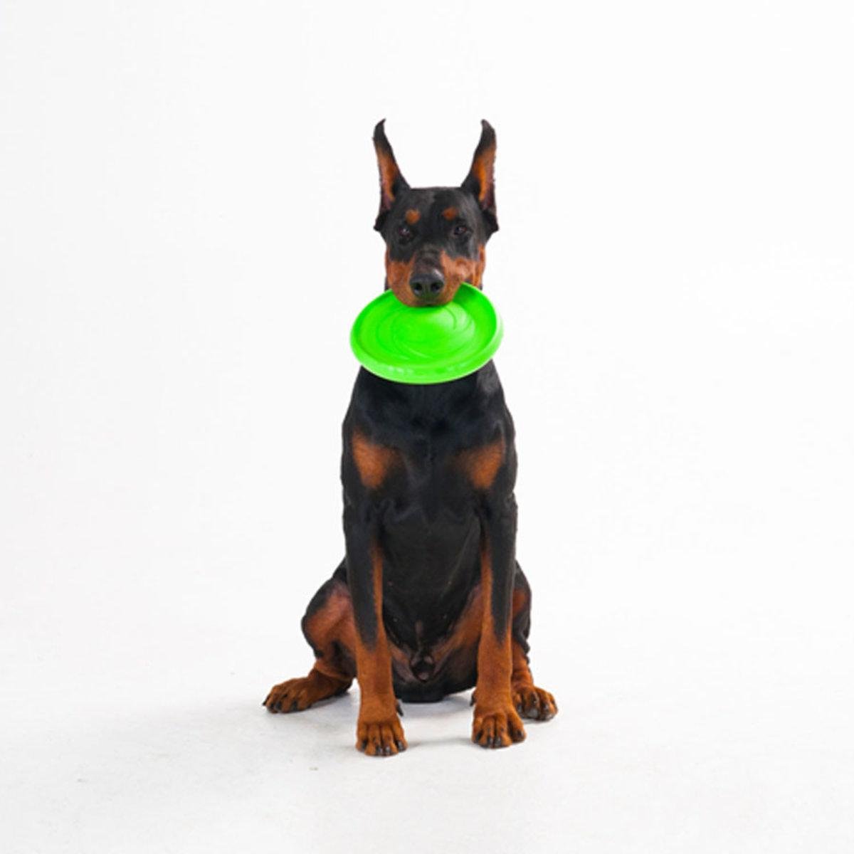 Летающая тарелка ФЛАЙБЕР D 22 см Салатовый (25881052) - фото 7