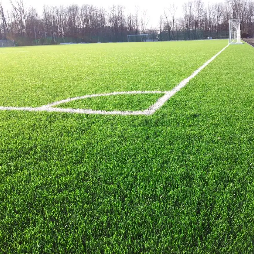 Семена газонной травы GrassNature Спортивная 3 кг (24463302) - фото 2