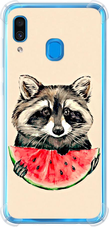 Чехол на Samsung Galaxy A20 2019 A205F Енотик с арбузом (4605sp-1761-42517)