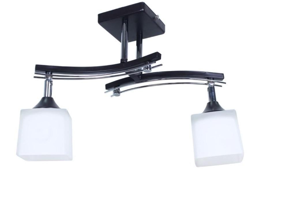 Люстра потолочная Sirius B N1435/2 на 2 плафона Черный