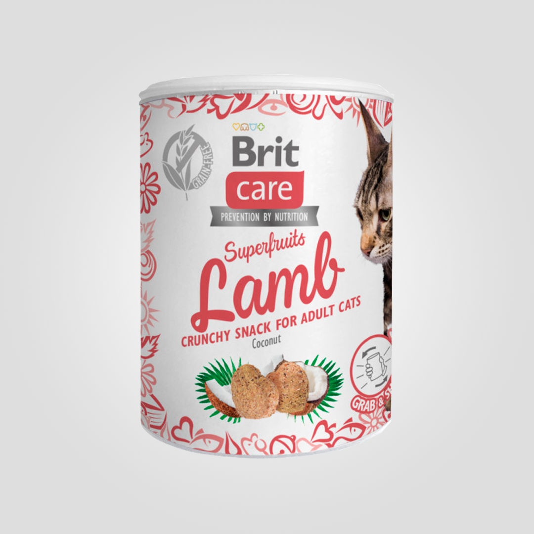 Ласощі для котів Brit Care Cat Snack Superfruits Lamb ягня 100 г (2245964787)