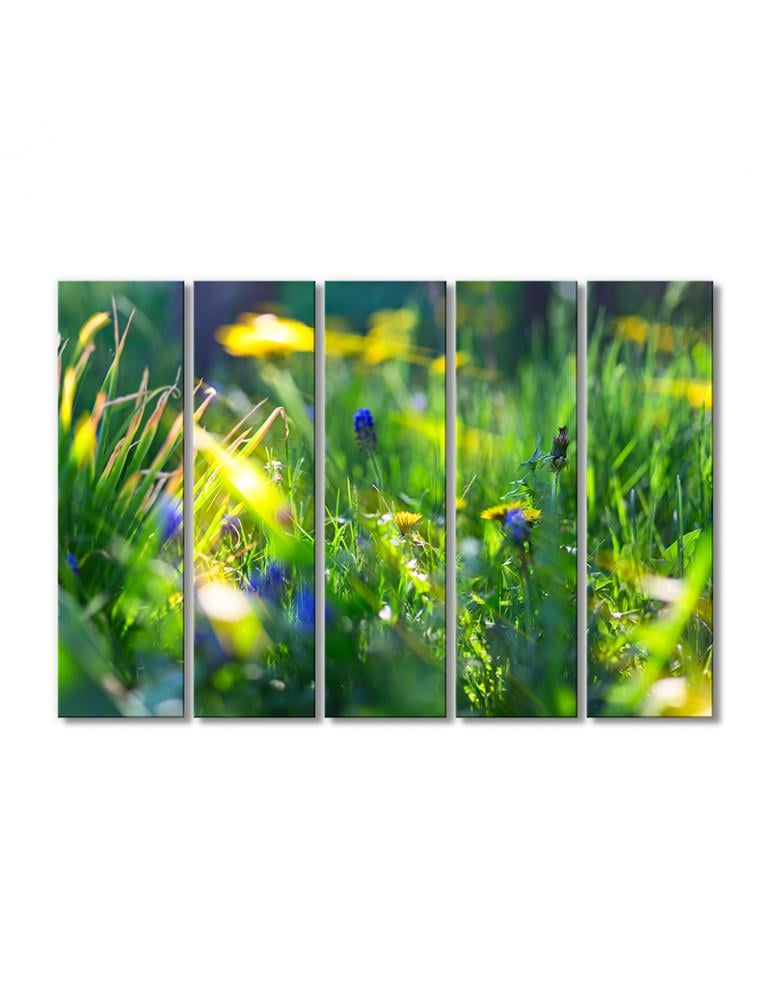 Картина модульная Солнце в полевых цветах 5 модулей 80x120 см