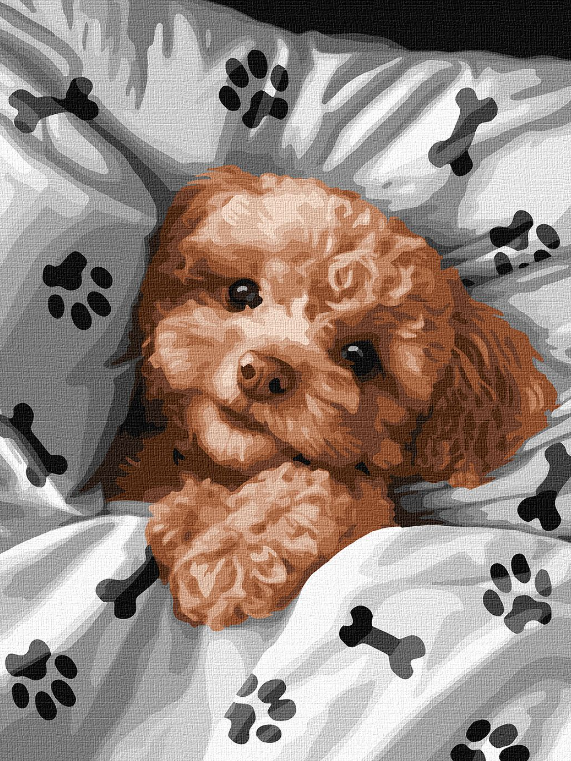 Картина по номерам Идейка Милый мальтипу 30х40 см (KHO6538)