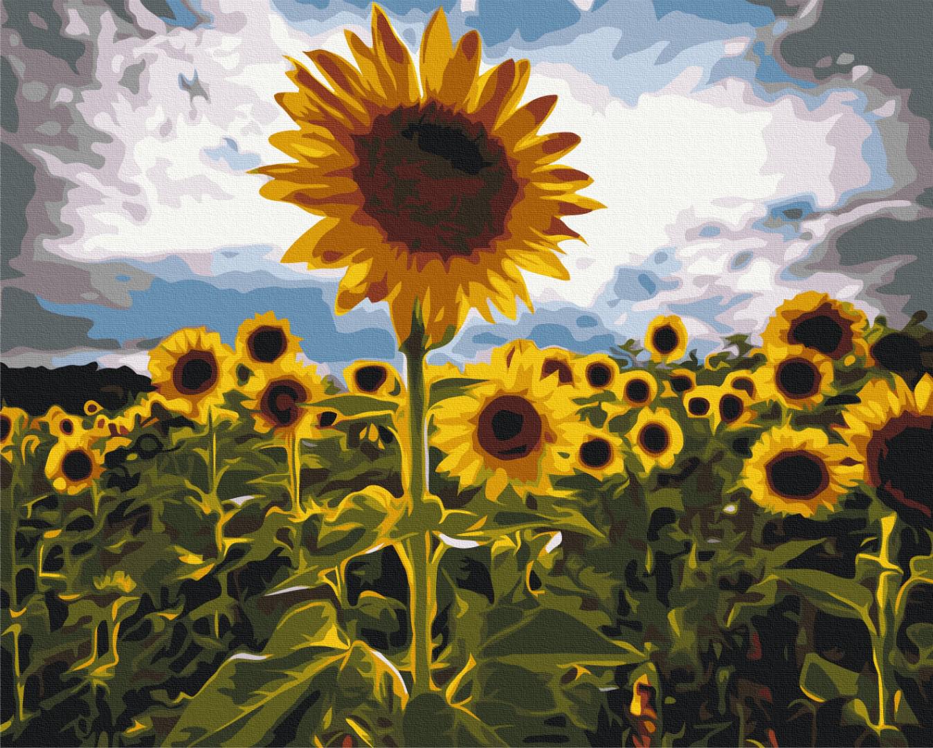 Картина по номерам Brushme Улочка в цветах 48x60 см (BS7451L)