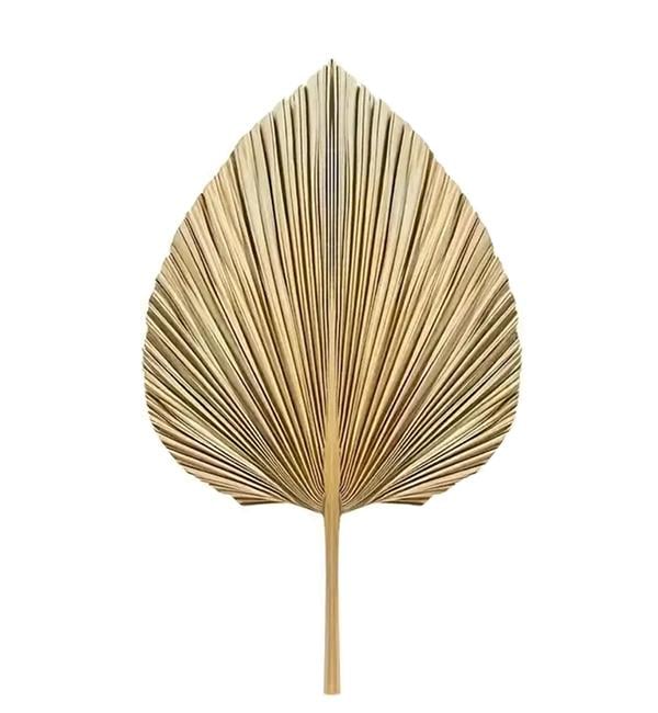 Лист спис Пальмовий натуральний 39 см (10351)