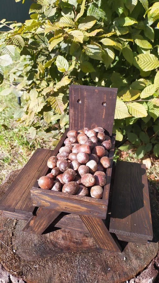 Кормушка для белок Подобед из древесины Эбеновое дерево 27х22х24 см - фото 2