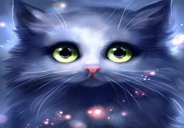 Картина по номерам Josef Otten Животные Кошка 40х50 см в термопакете (5371Y_O-mt)