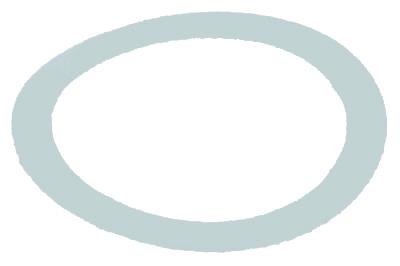 Уплотнитель плоский PTFE 27х20х1 мм (Br125109025)