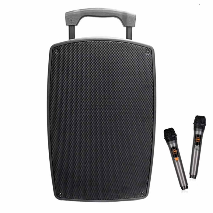 Активная акустическая колонка Temeisheng SL 12-32