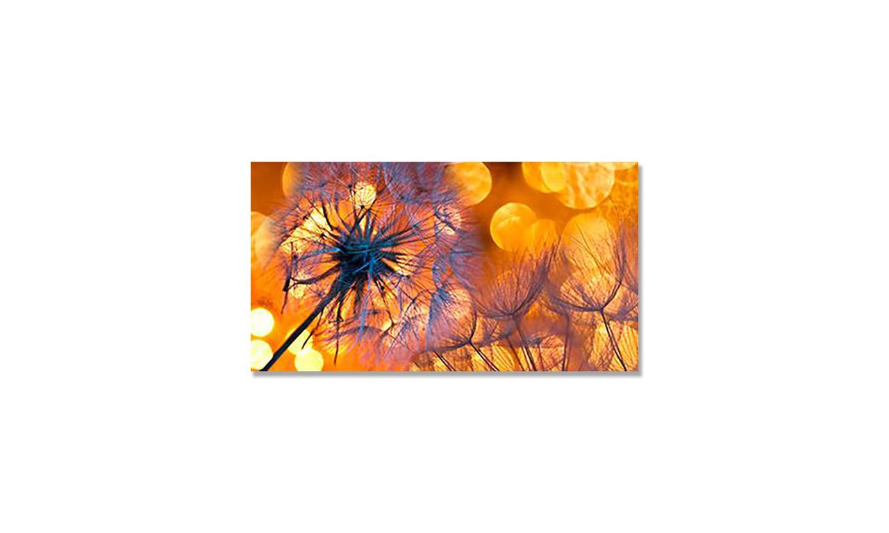 Наклейка виниловая на стол Zatarga Одуваньчики на закате 650х1200 мм (1262637283) Наклейка виниловая на стол Zatarga Одуваньчики на закате 650х1200 мм (1262637283)