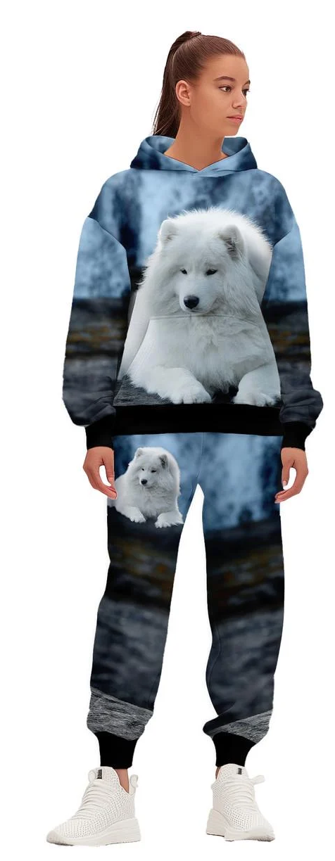 Спортивний костюм жіночий Пес S Синій (200102)