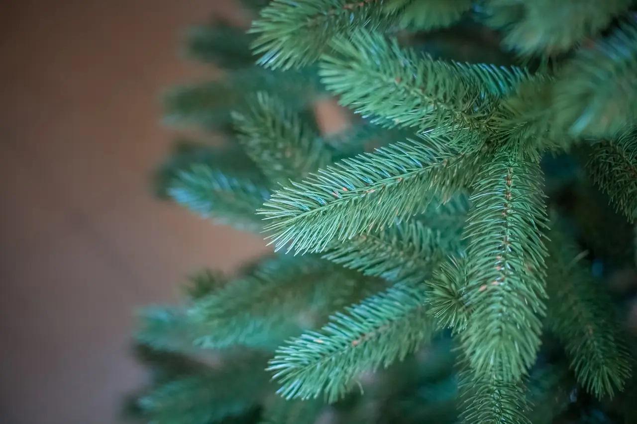 Искусственная елка литая Буковельская 1,8 м (12896654) - фото 3 Искусственная елка литая Буковельская 1,8 м (12896654) - фото 3