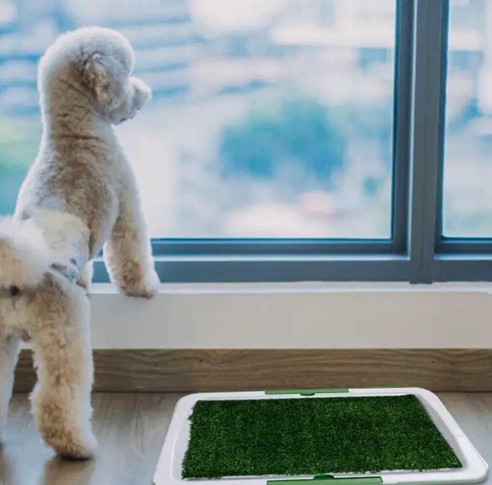 Лоток-туалет для собак з бортиками і штучною травою 47х34 см - фото 4