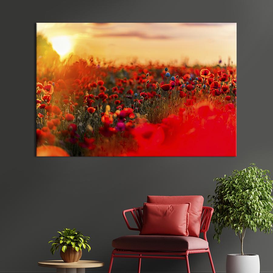 Картина на холсте Маковое поле 75x50 см (916-1)