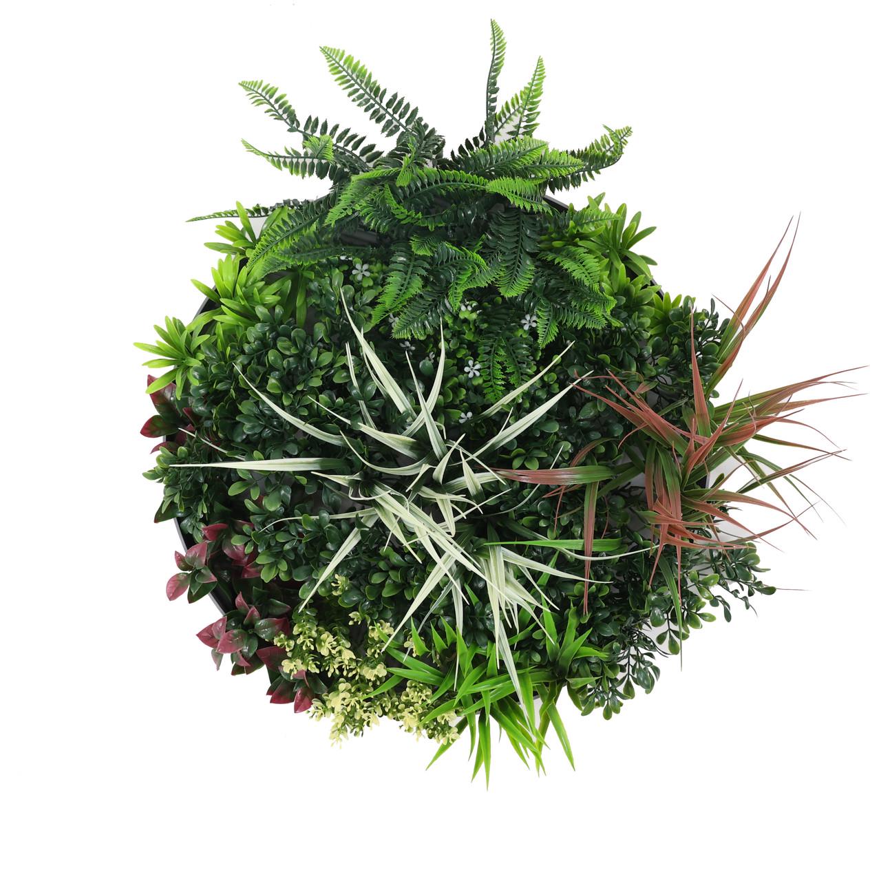 Декор настенный фитокартина Engard Галактика 50 см (FP-49)