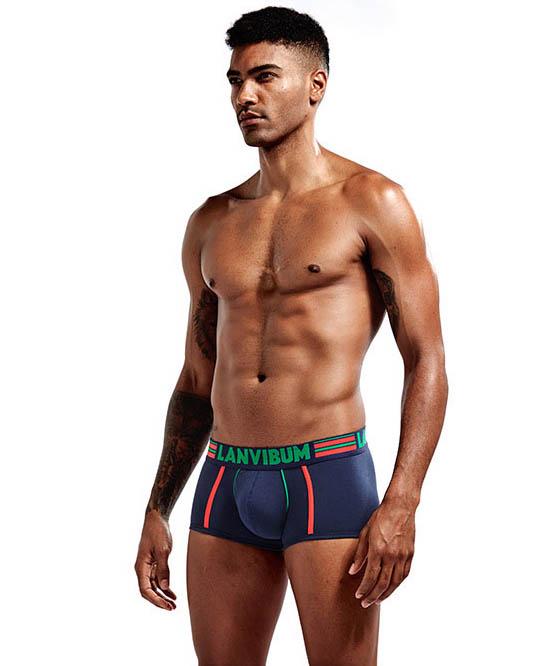 Трусы Lanvibum L Темно-синий (5535)