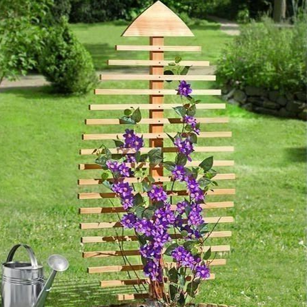 Опора для плетущихся из дерева Кумбара Бланже (ОДВ-001201)