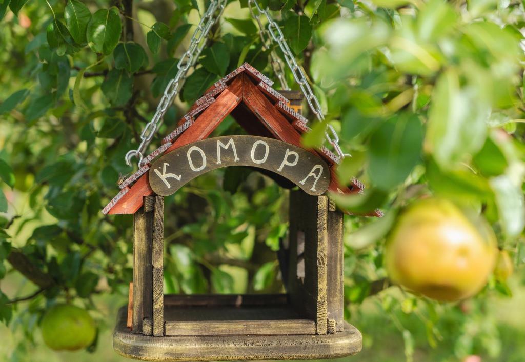 Кормушка для птиц подвесная Комора из древесины 29×27×34 см - фото 4 Кормушка для птиц подвесная Комора из древесины 29×27×34 см - фото 4