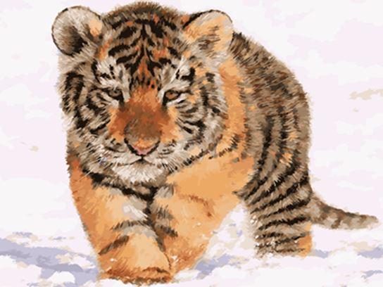 Картина по номерам Josef Otten Животные Тигренок 40х50 см в термопакете (6218OTG_O-mt)