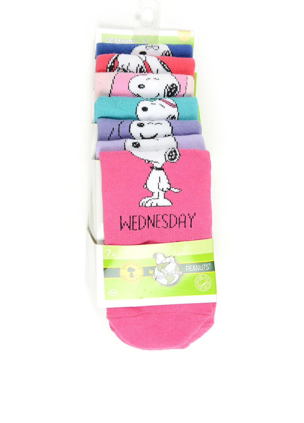 Шкарпетки C&A 7 пар р. 39-42 Різнокольоровий (2240679840600)