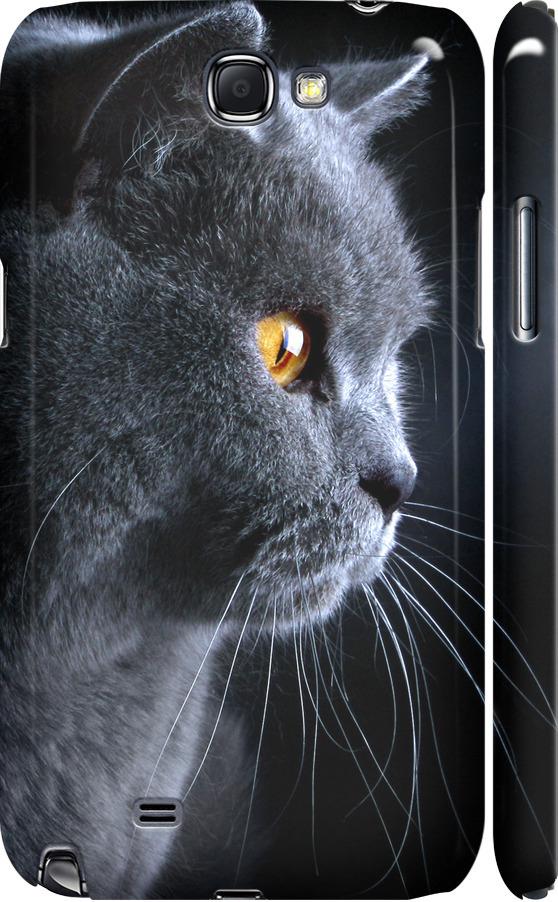 Чохол на Samsung Galaxy Note 2 N7100 Гарний кіт (3038c-17-42517)