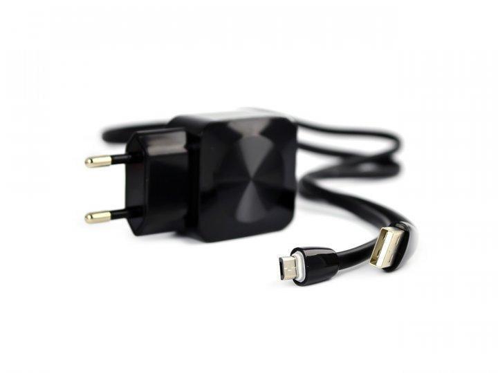 Зарядное устройство сетевое Aspor F13C Carbon Series 2,1A 2USB с USB-кабелем Micro Черный (1858272473)