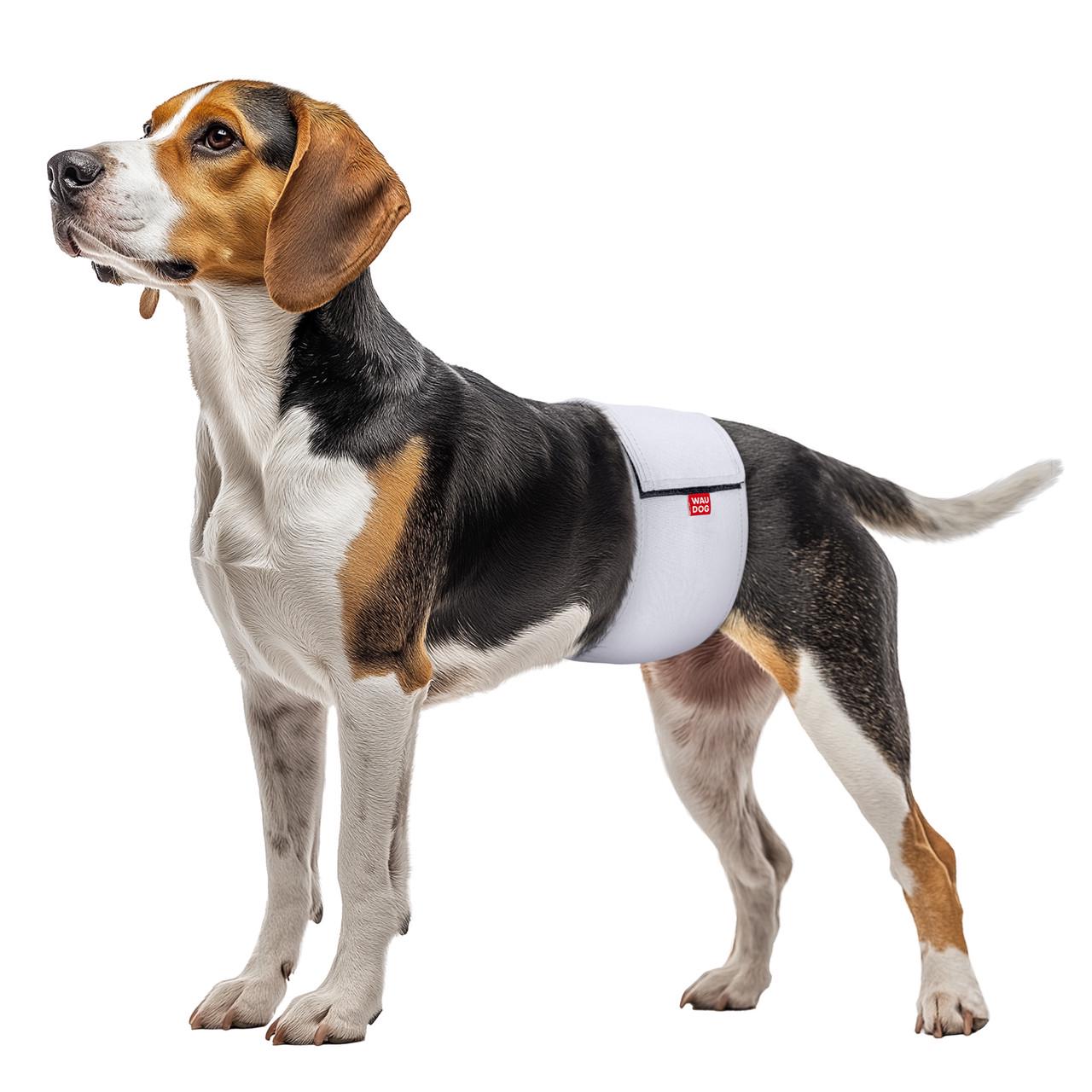 Пояс гігієнічний для кобелів Waudog Vet на липучці L Сірий (2495453435) - фото 2 Пояс гігієнічний для кобелів Waudog Vet на липучці L Сірий (2495453435) - фото 2