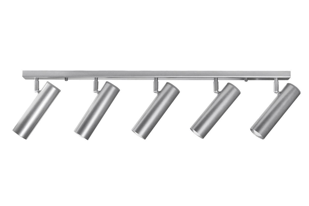 Світильник стельовий MSK Electric Telescope NL 22501-5 AL